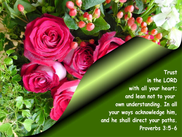 Proverbs 3:5-6